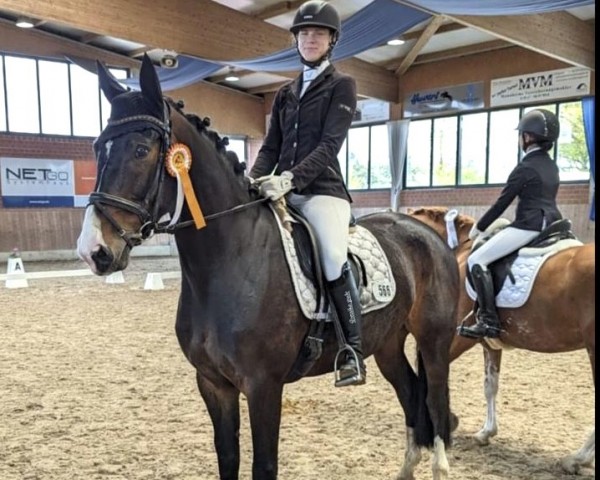dressage horse Eclair (Westphalian, 2018, from Ehrenpreis)