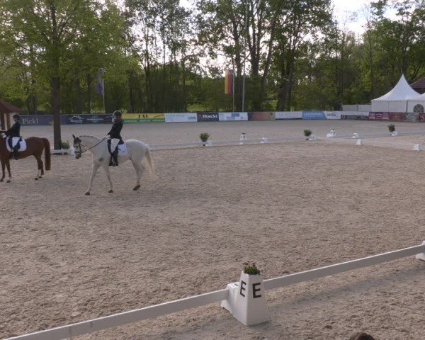 Reitturnier Karlsfeld/Obb. 2024
