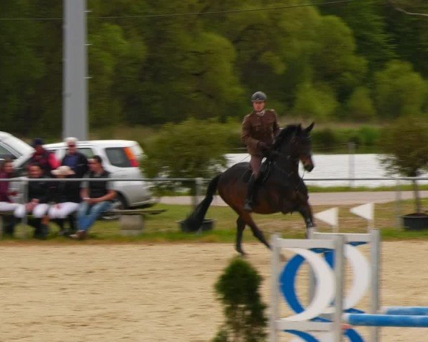 Reitturnier Bad Liebenstein/Sorga 2024