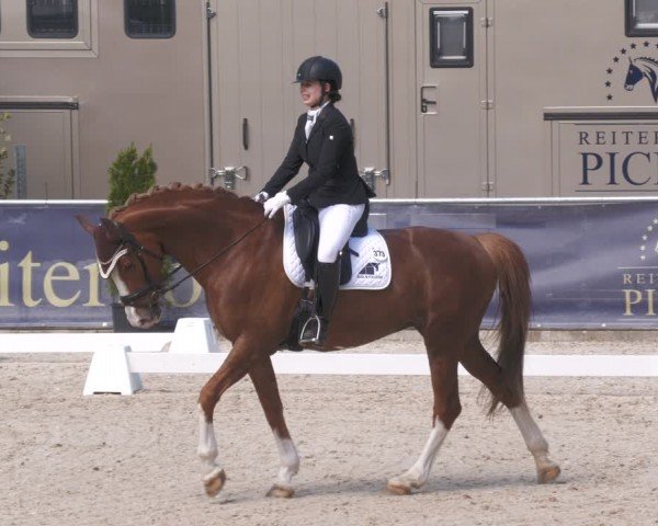 Reitturnier Karlsfeld/Obb. 2024