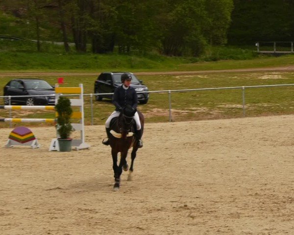 Reitturnier Bad Liebenstein/Sorga 2024