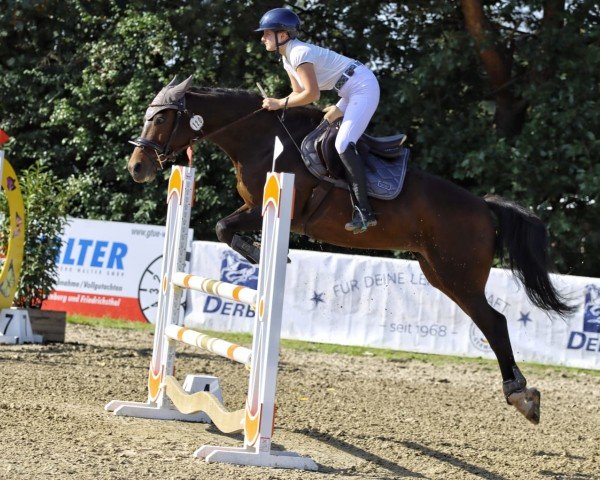 jumper Cody's Girl (Zweibrücken, 2010, from Cody 69)