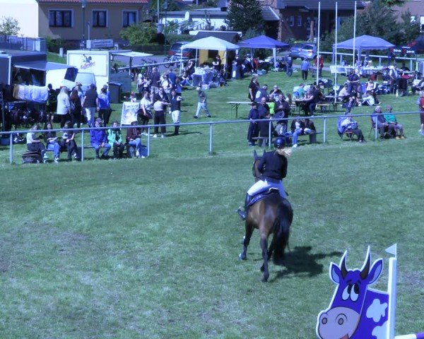 Reitturnier Colbitz 2024