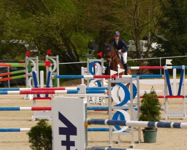 Reitturnier Bad Liebenstein/Sorga 2024