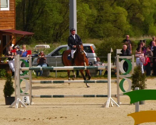 Reitturnier Bad Liebenstein/Sorga 2024