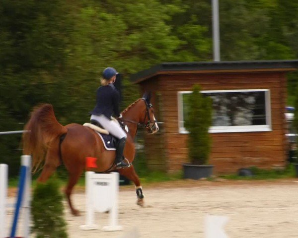 Reitturnier Bad Liebenstein/Sorga 2024