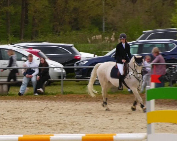 Reitturnier Bad Liebenstein/Sorga 2024