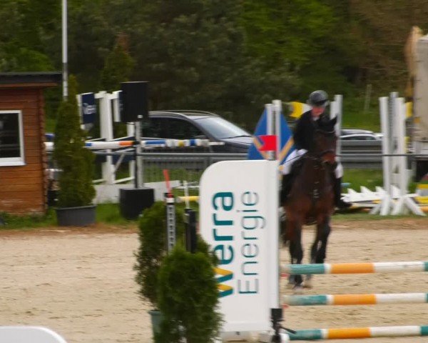 Reitturnier Bad Liebenstein/Sorga 2024