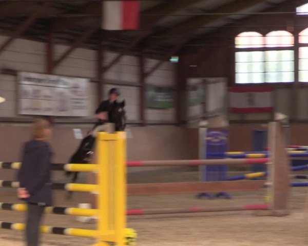 Reitturnier Elisenau 2021