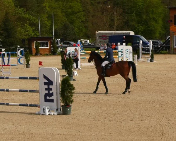 Reitturnier Bad Liebenstein/Sorga 2024