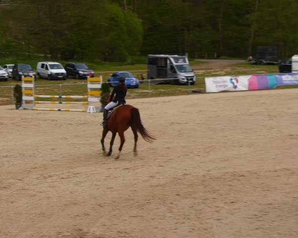 Reitturnier Bad Liebenstein/Sorga 2024