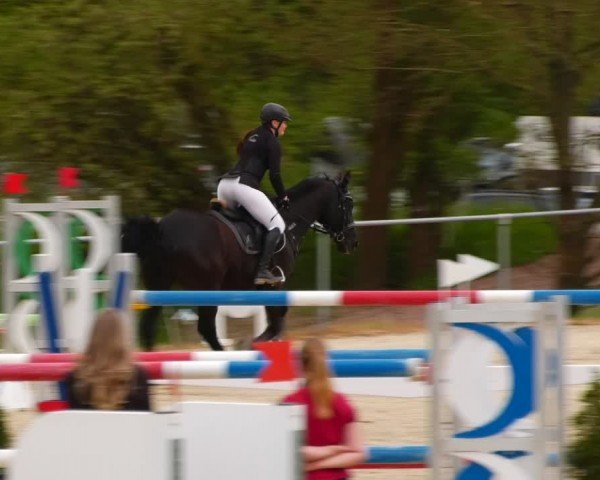 Reitturnier Bad Liebenstein/Sorga 2024