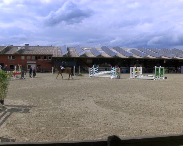 Reitturnier Heiden 2024