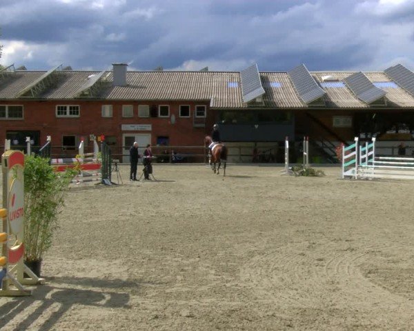 Reitturnier Heiden 2024