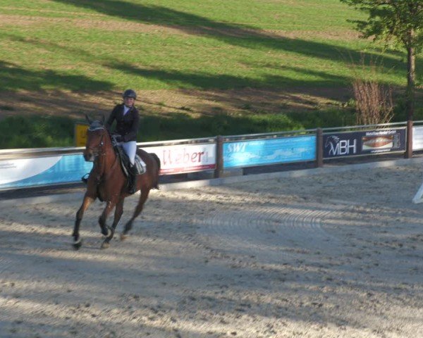 Reitturnier Uder, Reitanlage Kobold 2024