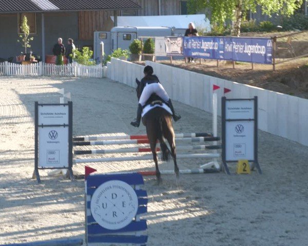Reitturnier Uder, Reitanlage Kobold 2024
