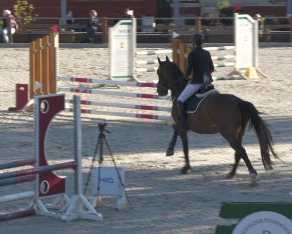 Reitturnier Uder, Reitanlage Kobold 2024