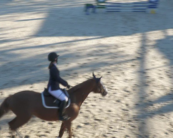 Reitturnier Uder, Reitanlage Kobold 2024