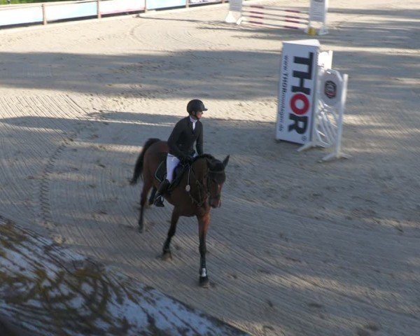 Reitturnier Uder, Reitanlage Kobold 2024