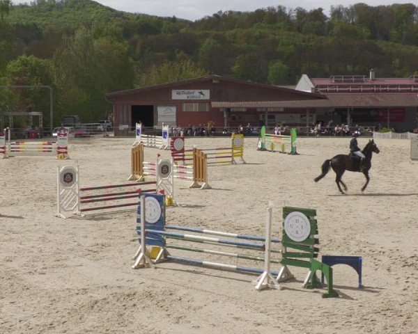 Reitturnier Uder, Reitanlage Kobold 2024