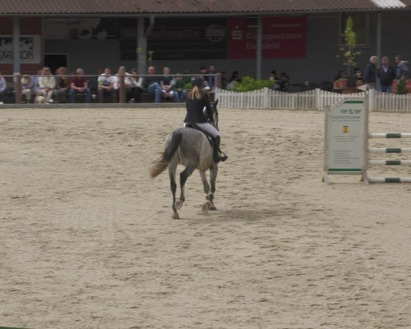Reitturnier Uder, Reitanlage Kobold 2024