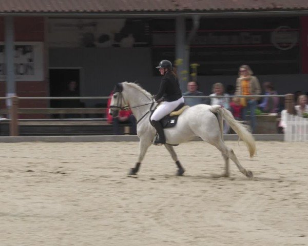 Reitturnier Uder, Reitanlage Kobold 2024
