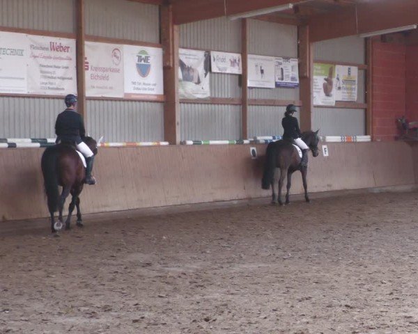 Reitturnier Uder, Reitanlage Kobold 2024