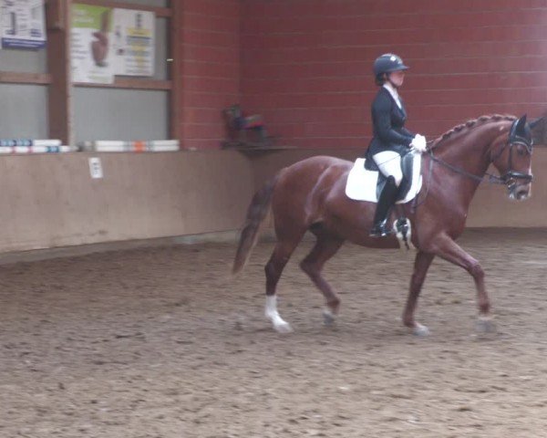 Reitturnier Uder, Reitanlage Kobold 2024