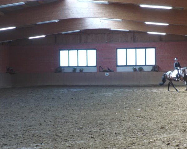 Reitturnier Uder, Reitanlage Kobold 2024