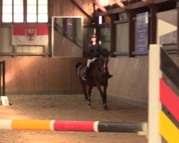 Reitturnier Elisenau 2021