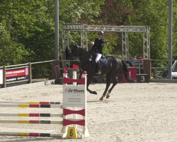 Reitturnier Uder, Reitanlage Kobold 2024