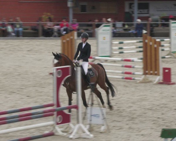 Reitturnier Uder, Reitanlage Kobold 2024
