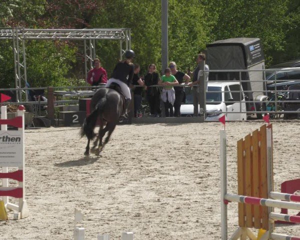 Reitturnier Uder, Reitanlage Kobold 2024