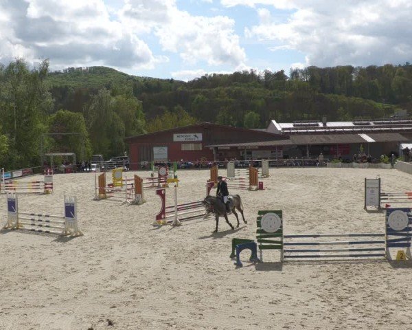 Reitturnier Uder, Reitanlage Kobold 2024