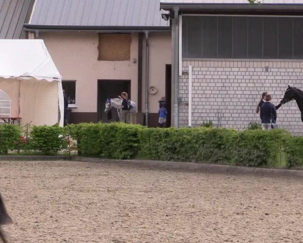 Reitturnier Olfen-Vinnum 2024