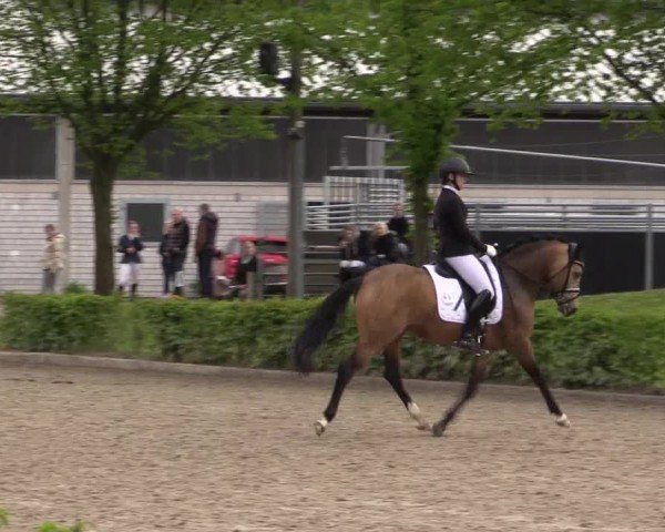 Reitturnier Olfen-Vinnum 2024