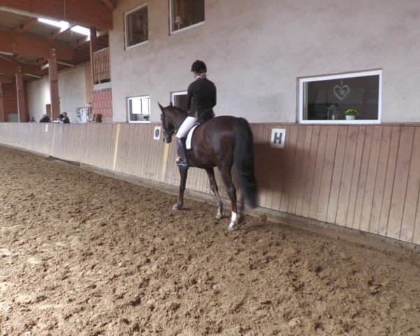 Reitturnier Uder, Reitanlage Kobold 2024