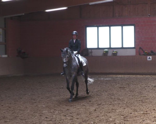 Reitturnier Uder, Reitanlage Kobold 2024