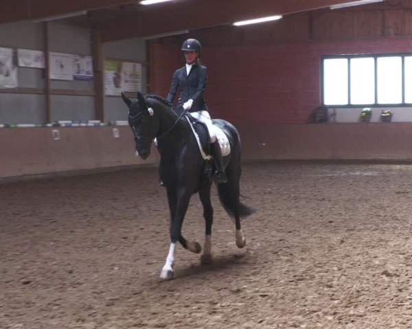 Reitturnier Uder, Reitanlage Kobold 2024