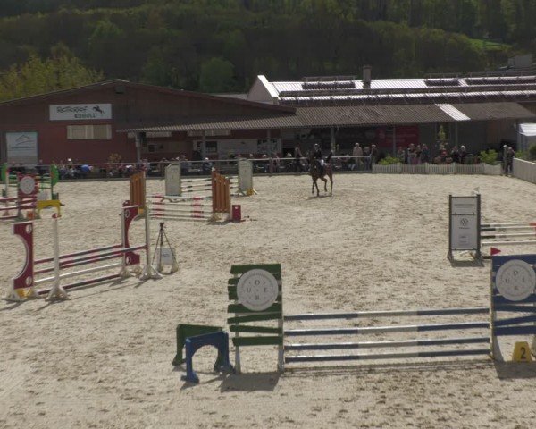 Reitturnier Uder, Reitanlage Kobold 2024