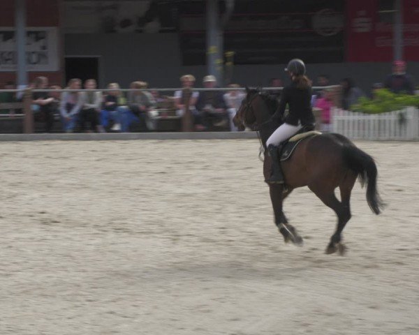 Reitturnier Uder, Reitanlage Kobold 2024