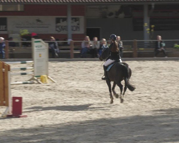 Reitturnier Uder, Reitanlage Kobold 2024