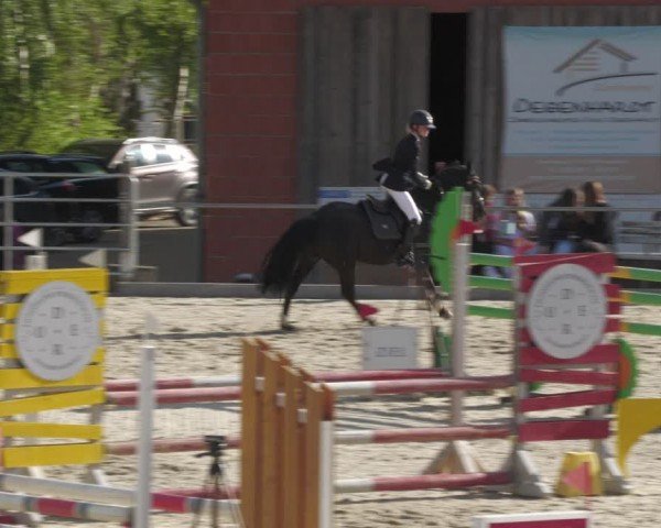 Reitturnier Uder, Reitanlage Kobold 2024