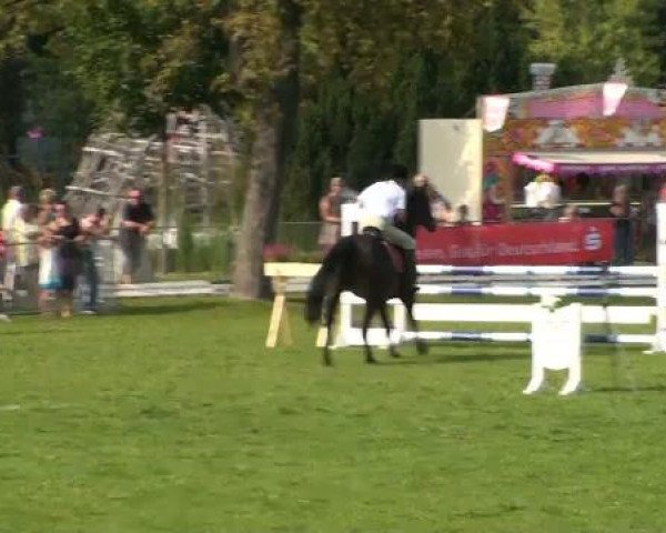 1. ASCANIA-Pferdefestival