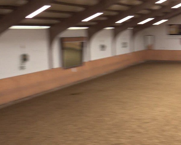 Reitturnier Olfen-Vinnum 2024
