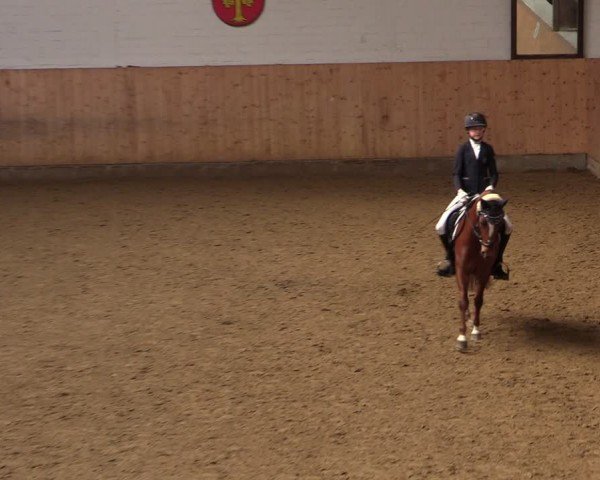 Reitturnier Olfen-Vinnum 2024