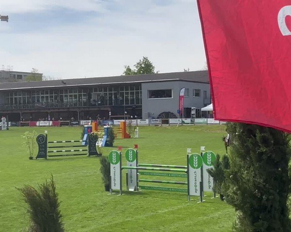 Reitturnier Uster 2024