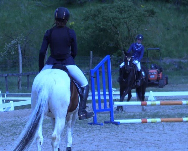 Reitturnier Colbitz 2024