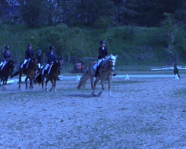 Reitturnier Colbitz 2024