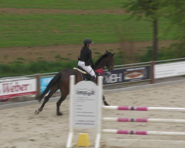 Reitturnier Uder, Reitanlage Kobold 2024